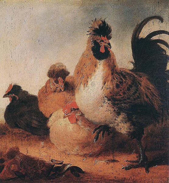 Rooster and Hens, Aelbert Cuyp
